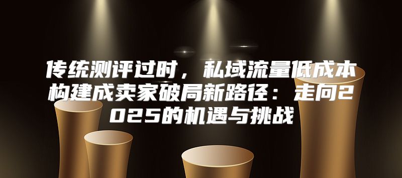 传统测评过时，私域流量低成本构建成卖家破局新路径：走向2025的机遇与挑战