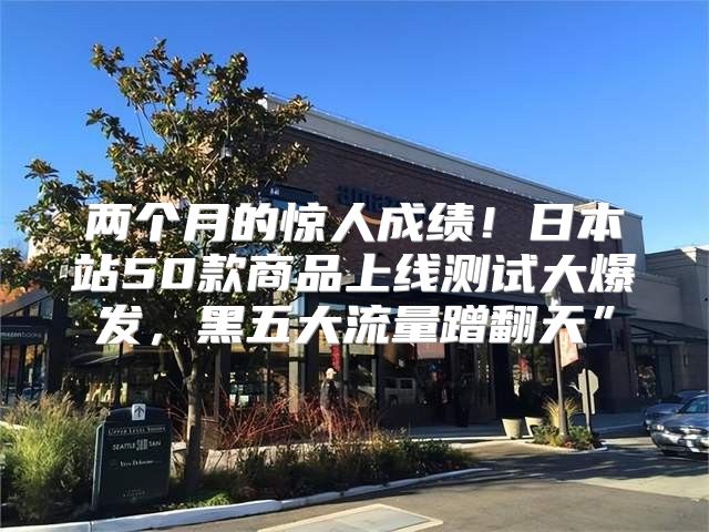 两个月的惊人成绩！日本站50款商品上线测试大爆发，黑五大流量蹭翻天”