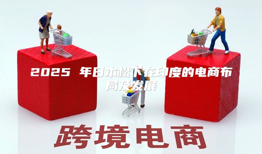 2025 年日本松下在印度的电商布局及发展