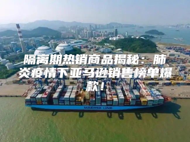 隔离期热销商品揭秘：肺炎疫情下亚马逊销售榜单爆款！