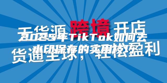 2025年TikTok如何去水印保存的实用技巧