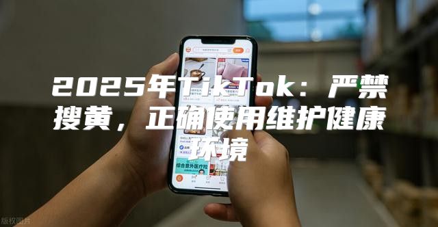 2025年TikTok：严禁搜黄，正确使用维护健康环境