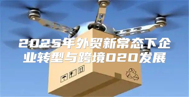 2025年外贸新常态下企业转型与跨境O2O发展