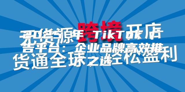 2025 年 TikTok 广告平台：企业品牌高效推广之选
