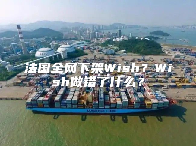法国全网下架Wish？Wish做错了什么？