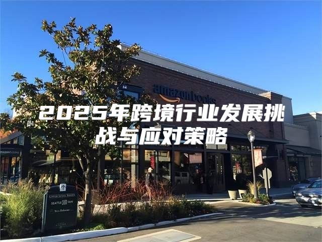 2025年跨境行业发展挑战与应对策略