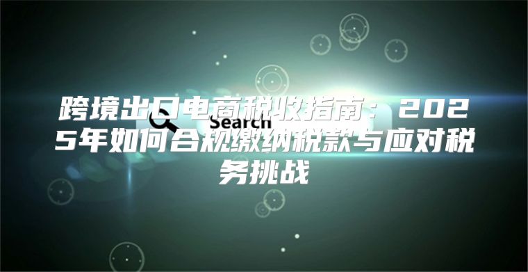 跨境出口电商税收指南：2025年如何合规缴纳税款与应对税务挑战