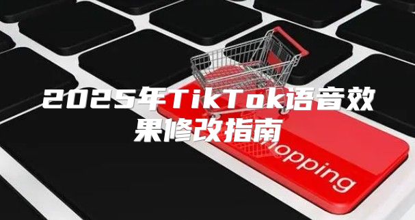 2025年TikTok语音效果修改指南