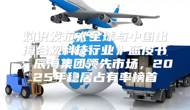 灼识发布全球与中国出海合规科技行业蓝皮书：辰海集团领先市场，2025年稳居占有率榜首