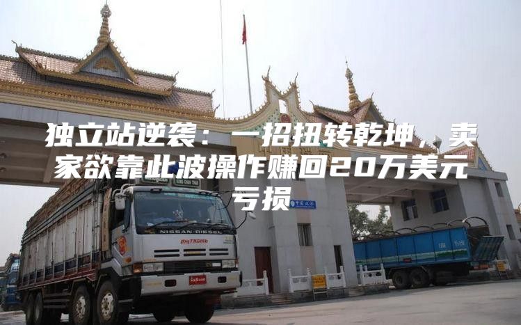 独立站逆袭：一招扭转乾坤，卖家欲靠此波操作赚回20万美元亏损