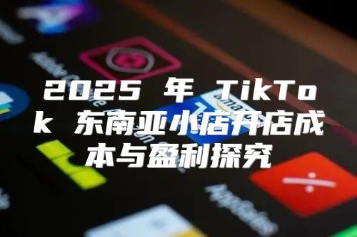 2025 年 TikTok 东南亚小店开店成本与盈利探究