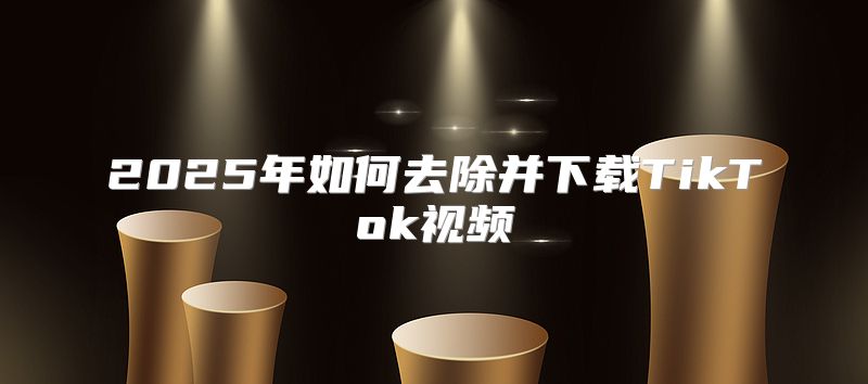 2025年如何去除并下载TikTok视频