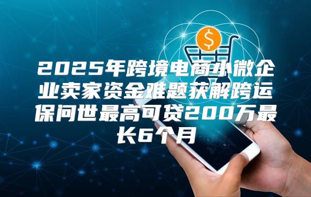 2025年跨境电商小微企业卖家资金难题获解跨运保问世最高可贷200万最长6个月