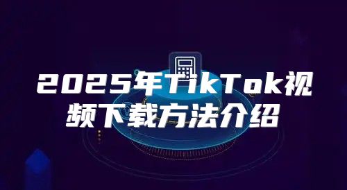 2025年TikTok视频下载方法介绍