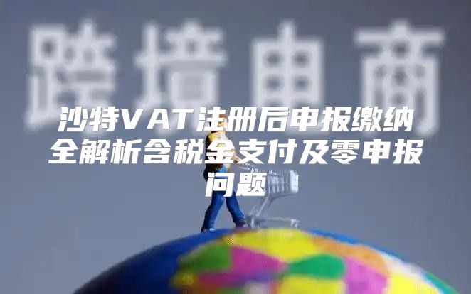 沙特VAT注册后申报缴纳全解析含税金支付及零申报问题