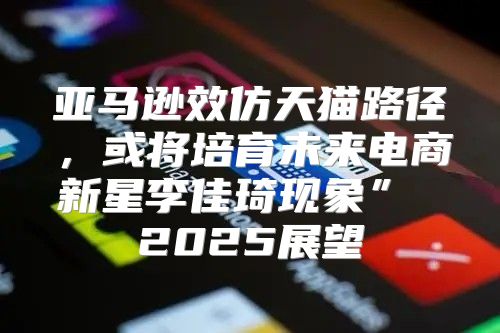 亚马逊效仿天猫路径，或将培育未来电商新星李佳琦现象” 2025展望