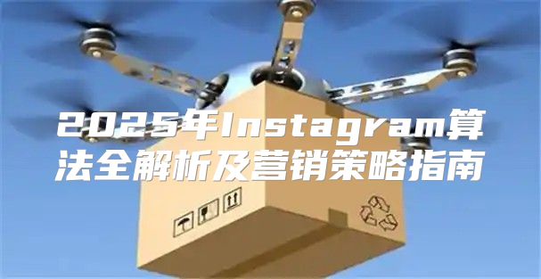 2025年Instagram算法全解析及营销策略指南