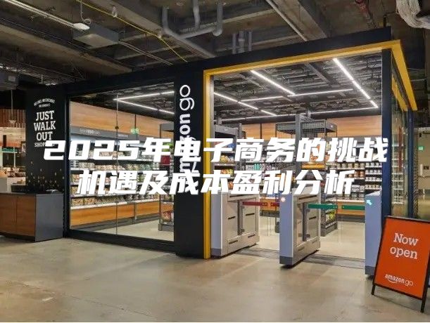 2025年电子商务的挑战机遇及成本盈利分析