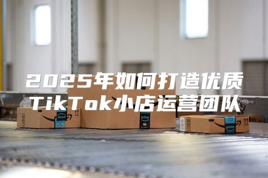2025年如何打造优质TikTok小店运营团队