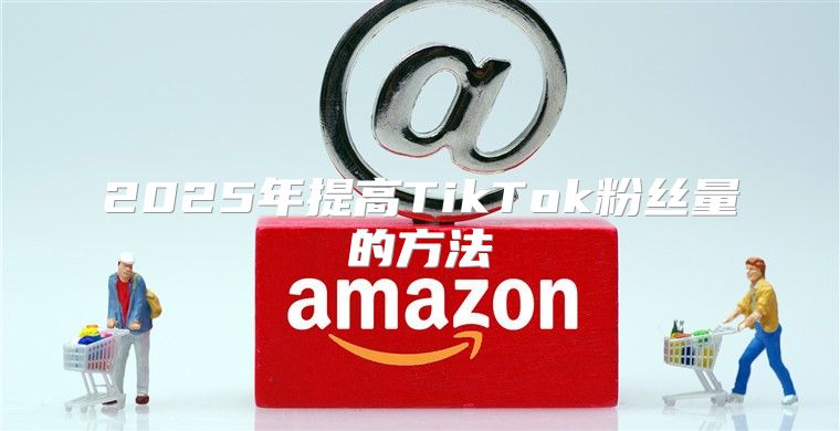 2025年提高TikTok粉丝量的方法
