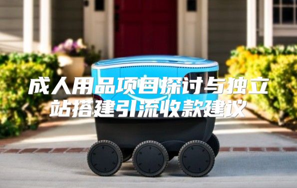 成人用品项目探讨与独立站搭建引流收款建议
