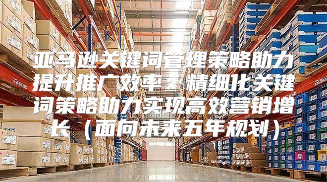 亚马逊关键词管理策略助力提升推广效率：精细化关键词策略助力实现高效营销增长面向未来五年规划