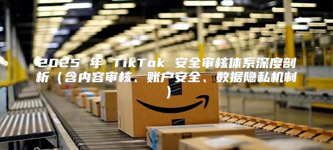 2025 年 TikTok 安全审核体系深度剖析含内容审核、账户安全、数据隐私机制