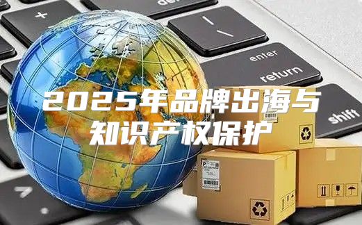2025年品牌出海与知识产权保护