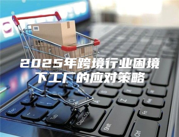 2025年跨境行业困境下工厂的应对策略