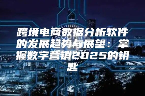 跨境电商数据分析软件的发展趋势与展望：掌握数字营销2025的钥匙