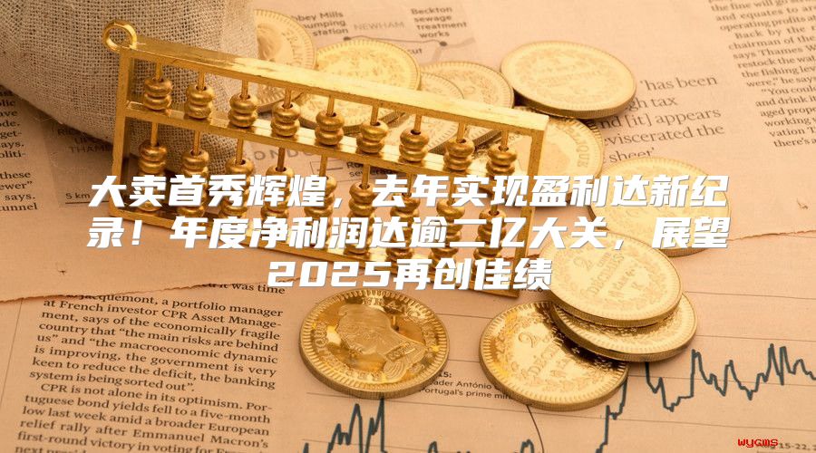 大卖首秀辉煌，去年实现盈利达新纪录！年度净利润达逾二亿大关，展望2025再创佳绩