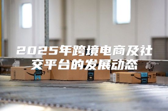 2025年跨境电商及社交平台的发展动态