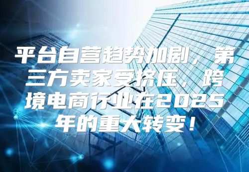 平台自营趋势加剧，第三方卖家受挤压，跨境电商行业在2025年的重大转变！