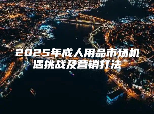 2025年成人用品市场机遇挑战及营销打法