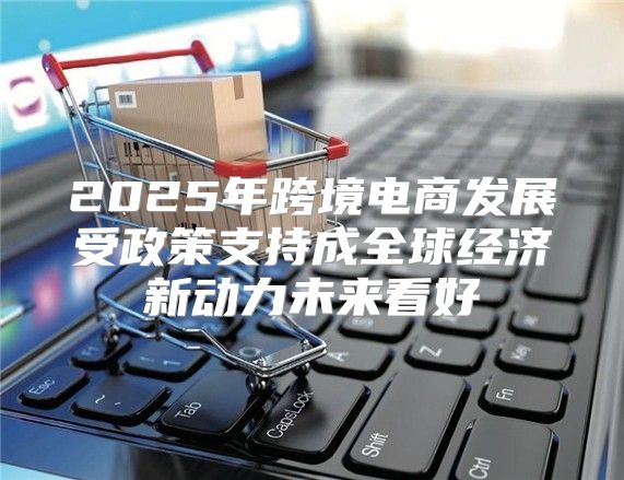 2025年跨境电商发展受政策支持成全球经济新动力未来看好