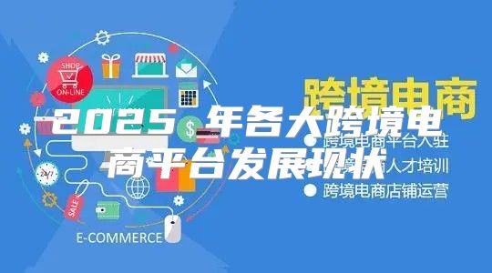 2025 年各大跨境电商平台发展现状
