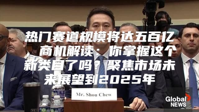 热门赛道规模将达五百亿，商机解读：你掌握这个新类目了吗？聚焦市场未来展望到2025年