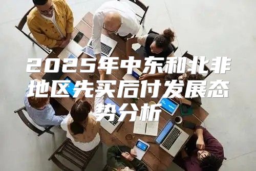 2025年中东和北非地区先买后付发展态势分析