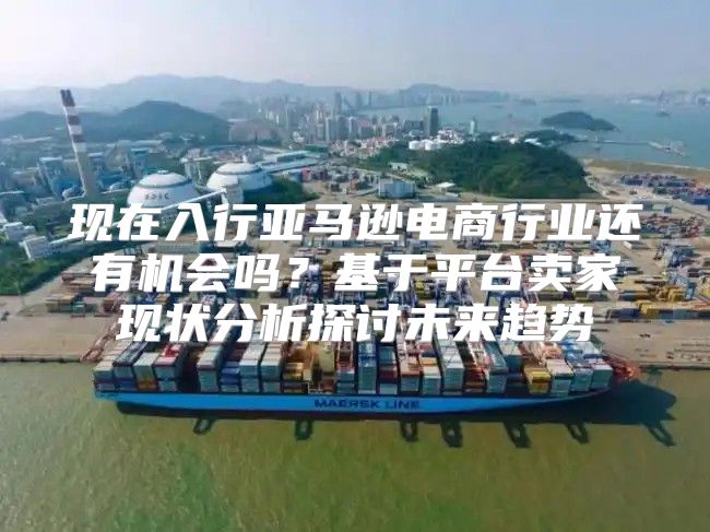现在入行亚马逊电商行业还有机会吗？基于平台卖家现状分析探讨未来趋势
