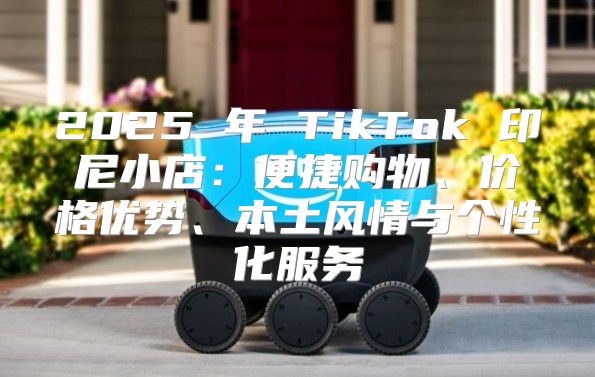 2025 年 TikTok 印尼小店：便捷购物、价格优势、本土风情与个性化服务