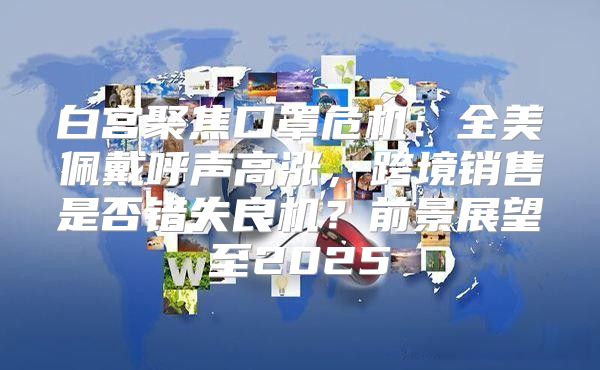 白宫聚焦口罩危机：全美佩戴呼声高涨，跨境销售是否错失良机？前景展望至2025