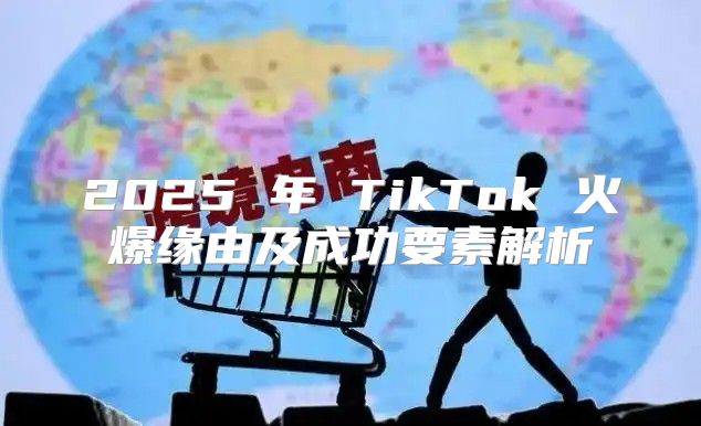 2025 年 TikTok 火爆缘由及成功要素解析