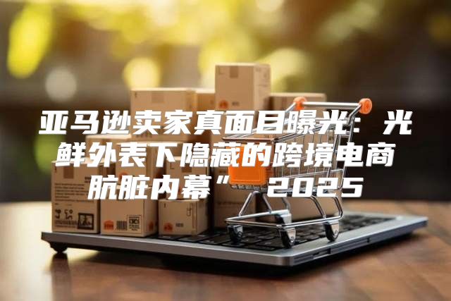亚马逊卖家真面目曝光：光鲜外表下隐藏的跨境电商肮脏内幕” 2025