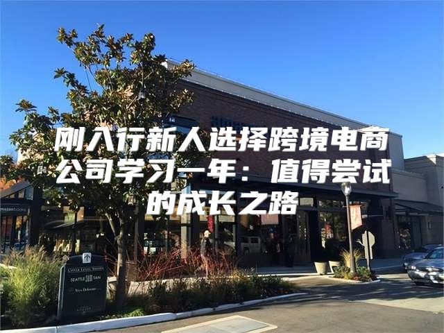 刚入行新人选择跨境电商公司学习一年：值得尝试的成长之路