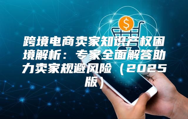 跨境电商卖家知识产权困境解析：专家全面解答助力卖家规避风险2025版
