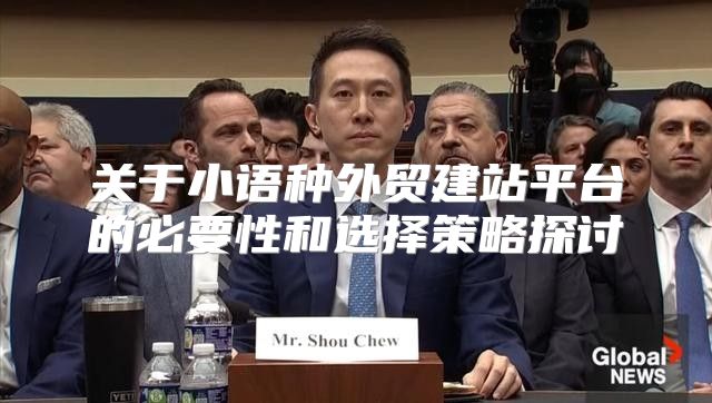 关于小语种外贸建站平台的必要性和选择策略探讨