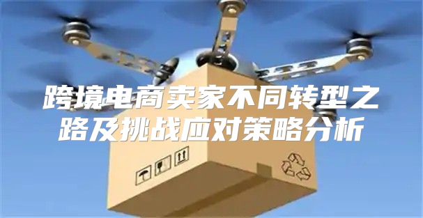 跨境电商卖家不同转型之路及挑战应对策略分析