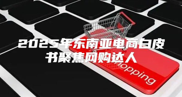 2025年东南亚电商白皮书聚焦网购达人