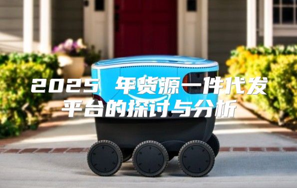 2025 年货源一件代发平台的探讨与分析