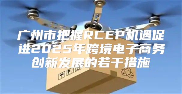 广州市把握RCEP机遇促进2025年跨境电子商务创新发展的若干措施
